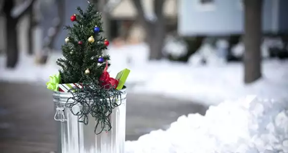 Unusual-Christmas-Trees uses
