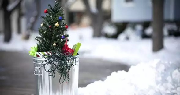 Unusual-Christmas-Trees uses