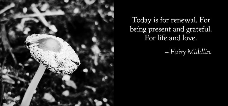 Short and Sweet:&nbsp;Renewal