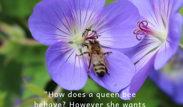 Short and Sweet: Bee in&nbsp;Flower